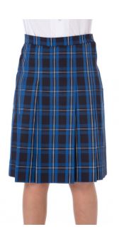 Winter skirt.JPG